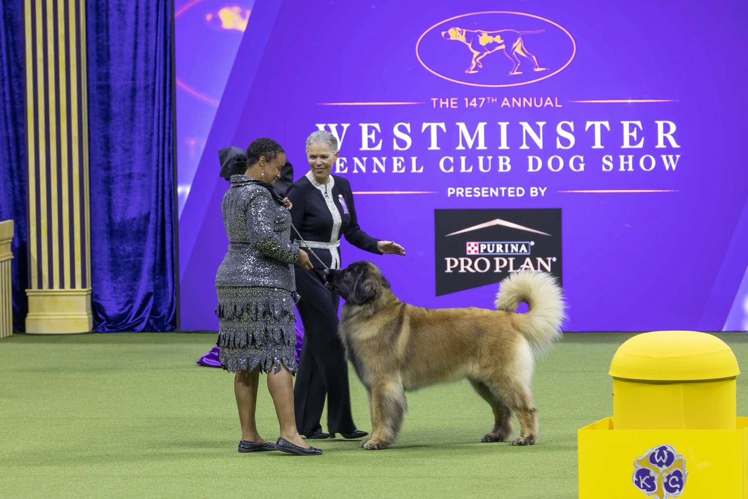 Unveiling the Westminster Dog Show 2025 Judges The Ultimate Panel of Canine Connoisseurs Dog