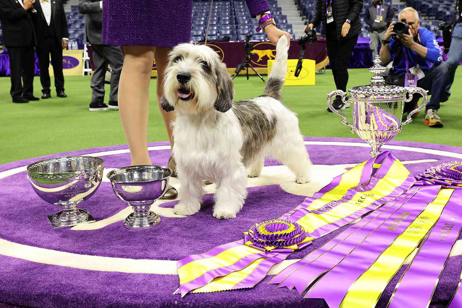 Roaring Success Best in Rescue Dog Show 2025 Delivers Top Talent