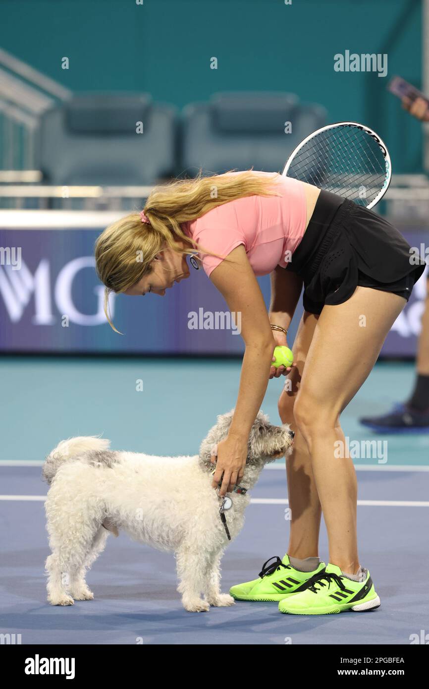 Unleashing the Hottest Dog Show Florida News of the Season Dog Show TV