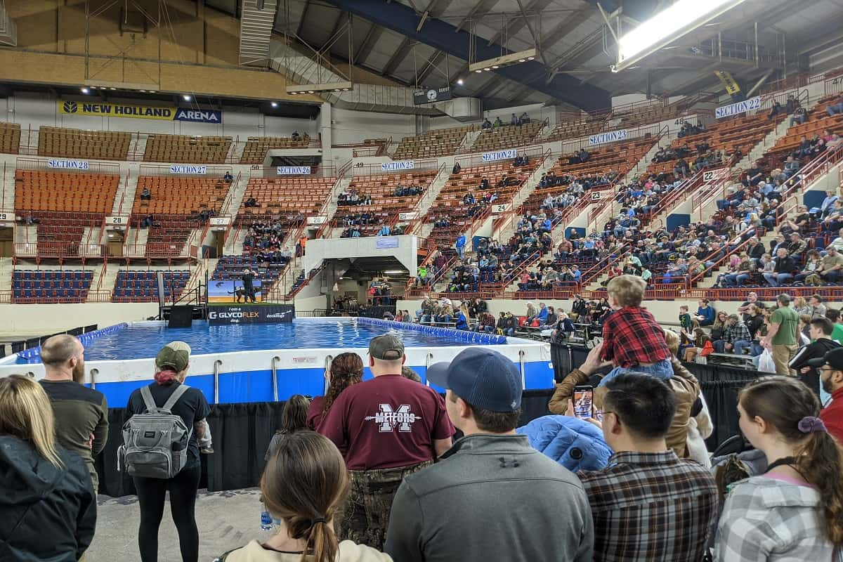 Harrisburg Dog Show 2025 Unleashing the Best in Show! Dog Show TV