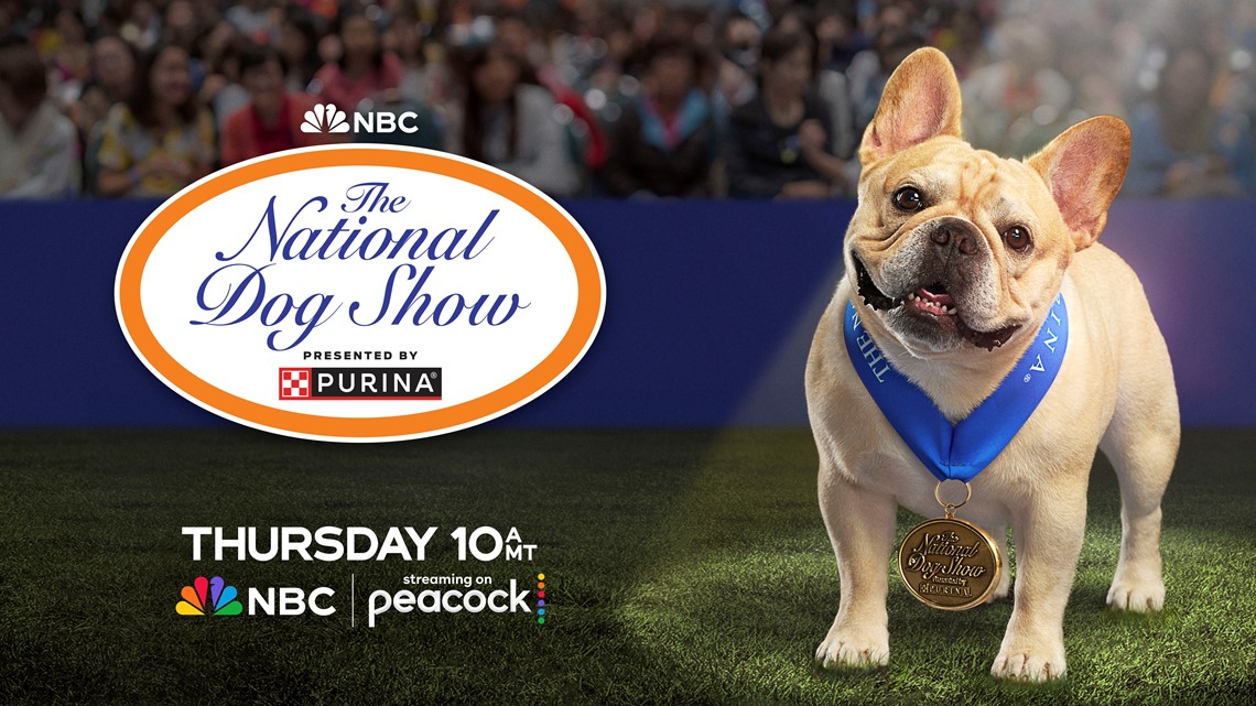 Ultimate Guide How to Watch the Dog Show on Thanksgiving Day Dog Show TV