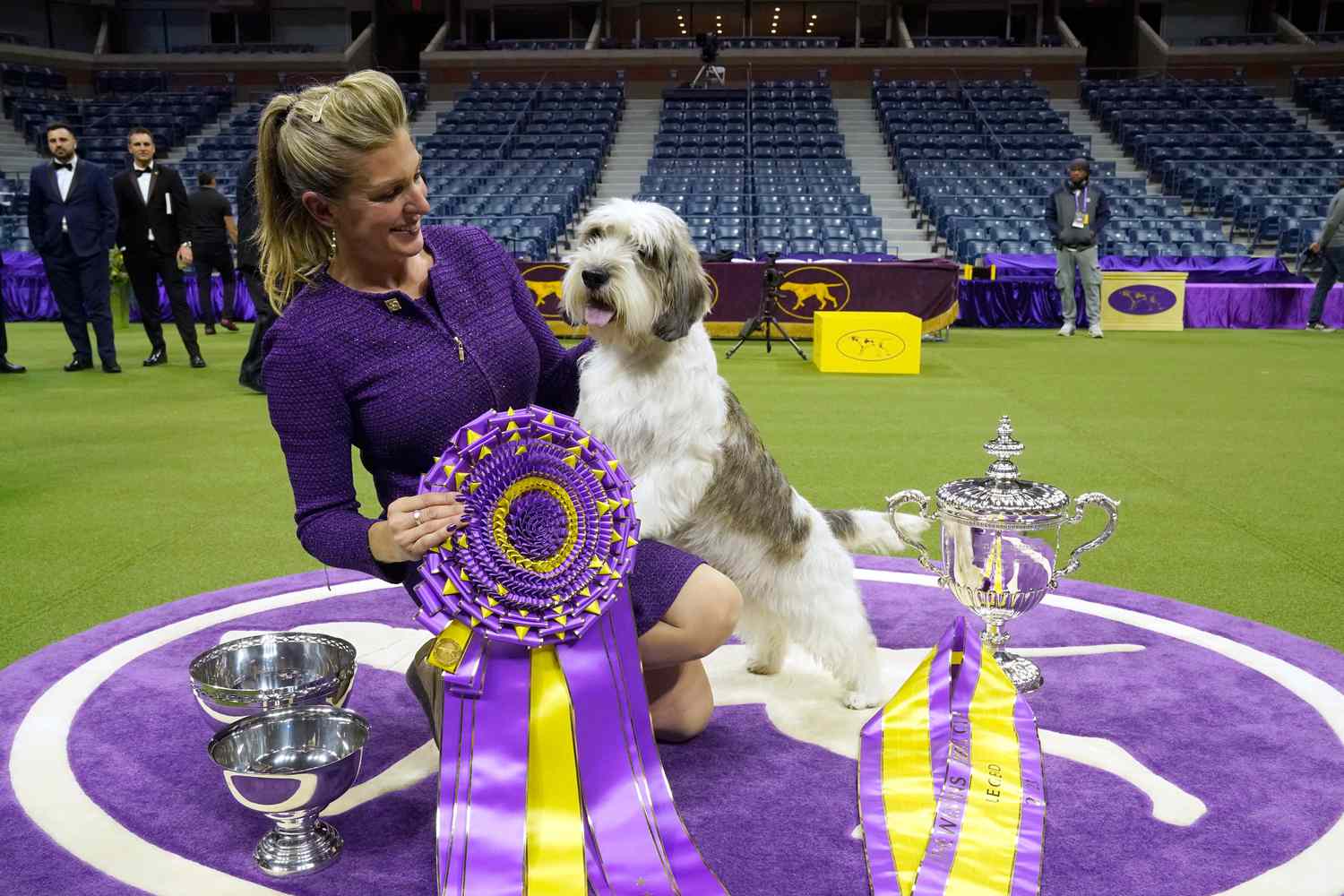 What Channel is Westminster Dog Show in 2025 Your Viewing Guide! Dog